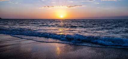 oceans covered area