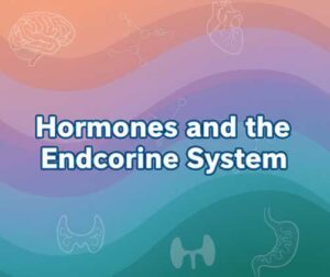 hormones
