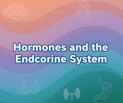 hormones